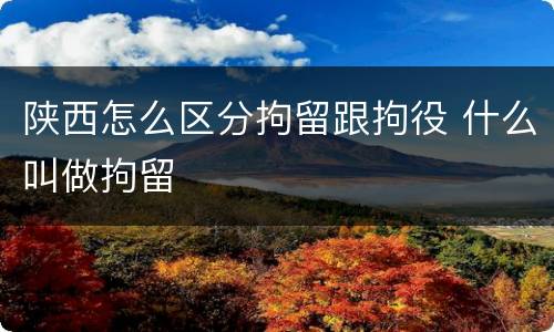 陕西怎么区分拘留跟拘役 什么叫做拘留