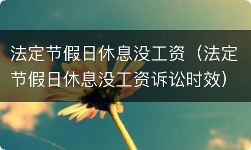 法定节假日休息没工资（法定节假日休息没工资诉讼时效）