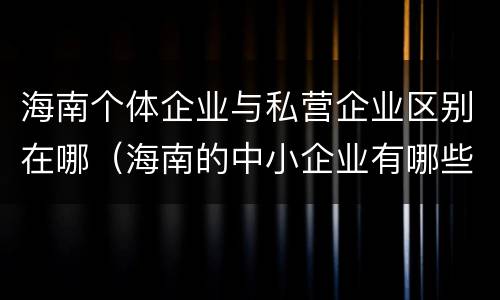 海南个体企业与私营企业区别在哪（海南的中小企业有哪些）