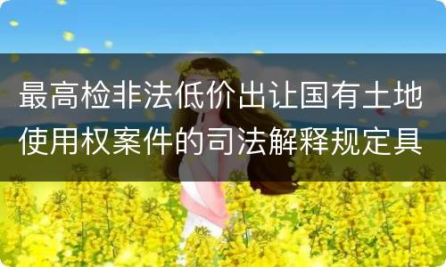 最高检非法低价出让国有土地使用权案件的司法解释规定具体是什么重要内容