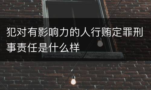 犯对有影响力的人行贿定罪刑事责任是什么样