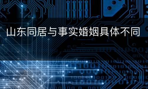 山东同居与事实婚姻具体不同