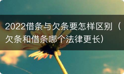 2022借条与欠条要怎样区别（欠条和借条哪个法律更长）