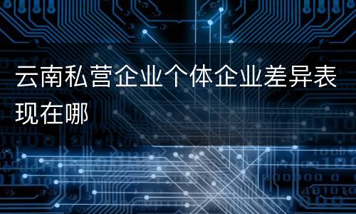 云南私营企业个体企业差异表现在哪
