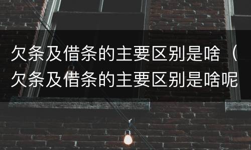 欠条及借条的主要区别是啥（欠条及借条的主要区别是啥呢）