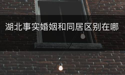 湖北事实婚姻和同居区别在哪