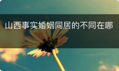 山西事实婚姻同居的不同在哪