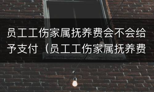 员工工伤家属抚养费会不会给予支付（员工工伤家属抚养费会不会给予支付工资）