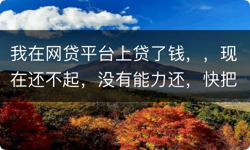 我在网贷平台上贷了钱，，现在还不起，没有能力还，快把家里人气死了，这可怎么办