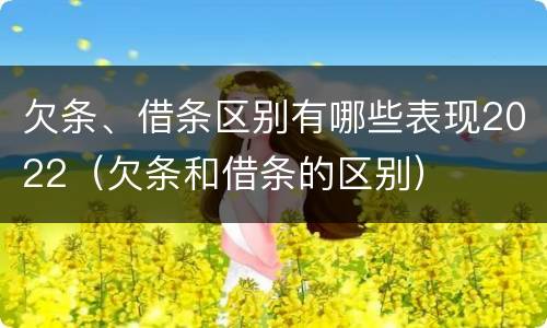 欠条、借条区别有哪些表现2022（欠条和借条的区别）