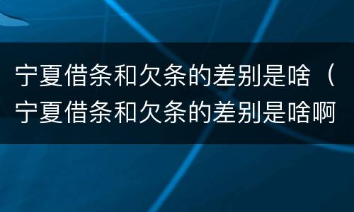 宁夏借条和欠条的差别是啥（宁夏借条和欠条的差别是啥啊）