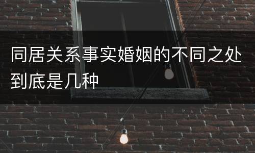 同居关系事实婚姻的不同之处到底是几种
