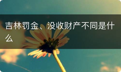 吉林罚金、没收财产不同是什么