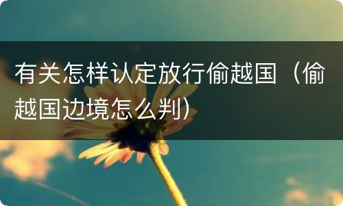 有关怎样认定放行偷越国（偷越国边境怎么判）