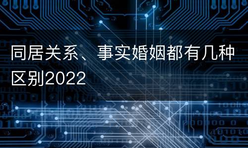 同居关系、事实婚姻都有几种区别2022