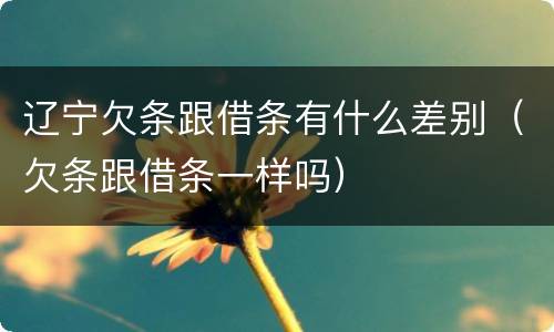 辽宁欠条跟借条有什么差别（欠条跟借条一样吗）