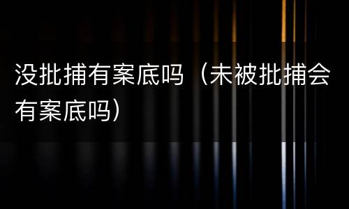 没批捕有案底吗（未被批捕会有案底吗）