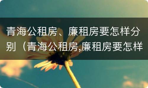 青海公租房、廉租房要怎样分别（青海公租房,廉租房要怎样分别摇号）