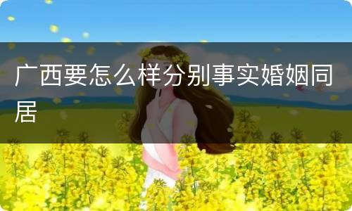 广西要怎么样分别事实婚姻同居