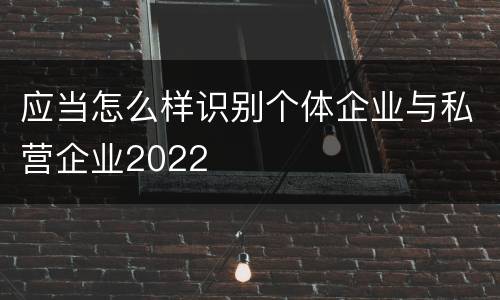 应当怎么样识别个体企业与私营企业2022
