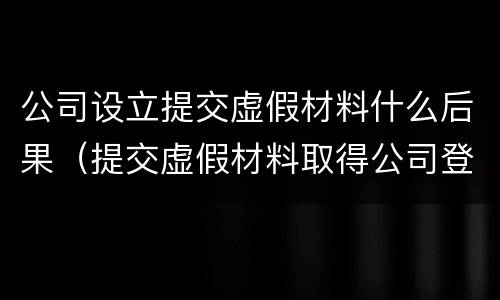 公司设立提交虚假材料什么后果（提交虚假材料取得公司登记）