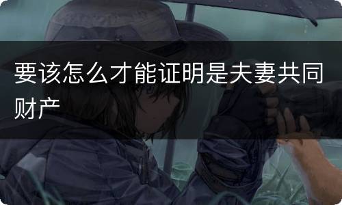 要该怎么才能证明是夫妻共同财产
