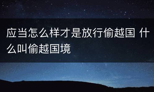 应当怎么样才是放行偷越国 什么叫偷越国境
