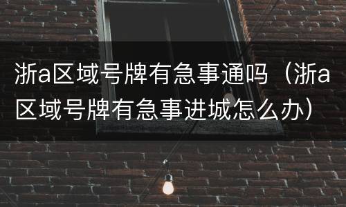 浙a区域号牌有急事通吗（浙a区域号牌有急事进城怎么办）