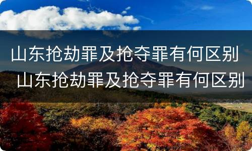 山东抢劫罪及抢夺罪有何区别 山东抢劫罪及抢夺罪有何区别呢