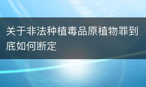 关于非法种植毒品原植物罪到底如何断定