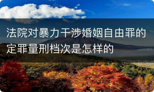 法院对暴力干涉婚姻自由罪的定罪量刑档次是怎样的