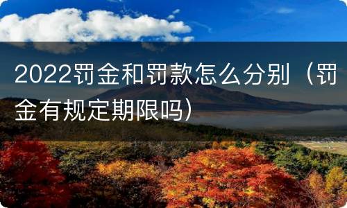 2022罚金和罚款怎么分别（罚金有规定期限吗）