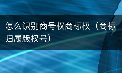 怎么识别商号权商标权（商标归属版权号）