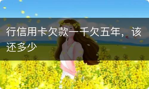 行信用卡欠款一千欠五年，该还多少