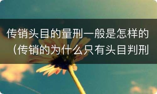 传销头目的量刑一般是怎样的（传销的为什么只有头目判刑）
