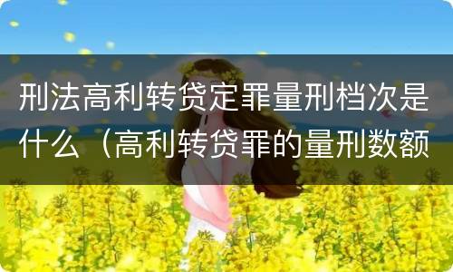 刑法高利转贷定罪量刑档次是什么（高利转贷罪的量刑数额标准）
