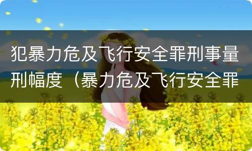 犯暴力危及飞行安全罪刑事量刑幅度（暴力危及飞行安全罪属于行为犯）