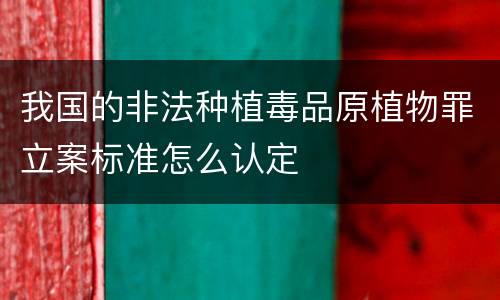 我国的非法种植毒品原植物罪立案标准怎么认定
