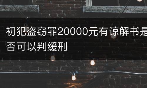 初犯盗窃罪20000元有谅解书是否可以判缓刑