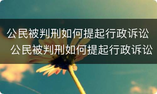 公民被判刑如何提起行政诉讼 公民被判刑如何提起行政诉讼