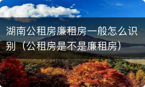 湖南公租房廉租房一般怎么识别（公租房是不是廉租房）