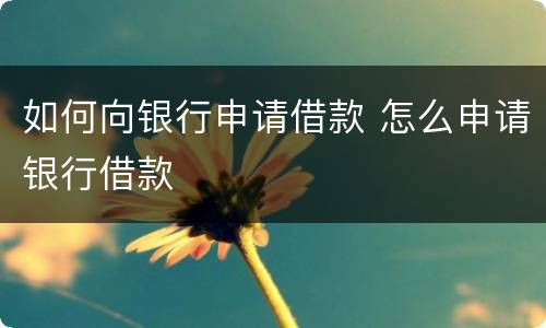 如何向银行申请借款 怎么申请银行借款