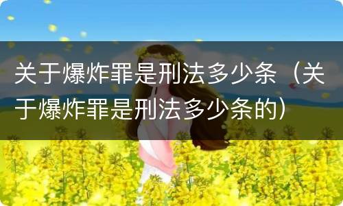 关于爆炸罪是刑法多少条（关于爆炸罪是刑法多少条的）