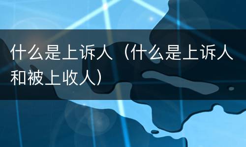什么是上诉人（什么是上诉人和被上收人）