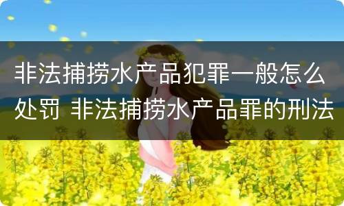 非法捕捞水产品犯罪一般怎么处罚 非法捕捞水产品罪的刑法处罚