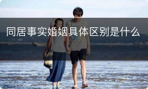 同居事实婚姻具体区别是什么