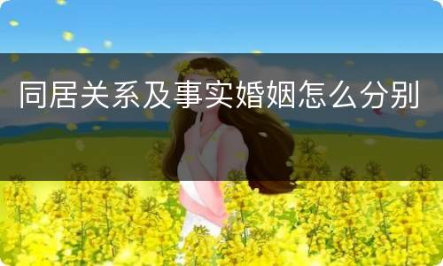 同居关系及事实婚姻怎么分别