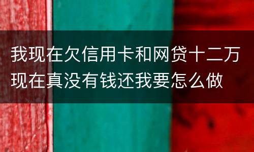 我现在欠信用卡和网贷十二万现在真没有钱还我要怎么做