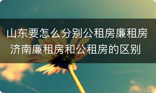 山东要怎么分别公租房廉租房 济南廉租房和公租房的区别
