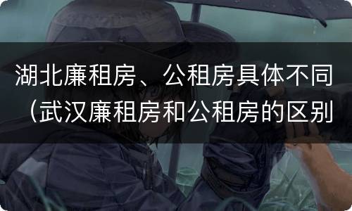 湖北廉租房、公租房具体不同（武汉廉租房和公租房的区别）